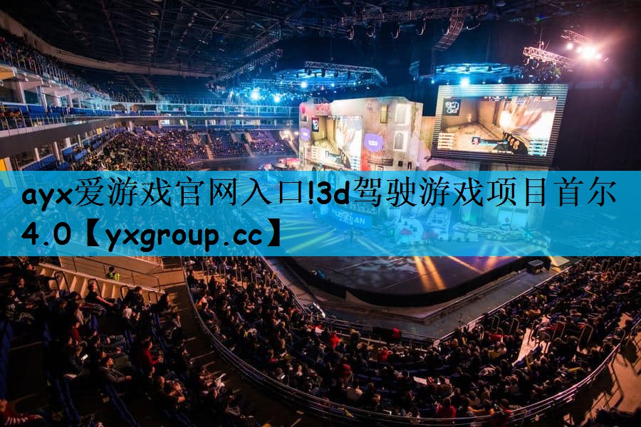3d驾驶游戏项目首尔4.0